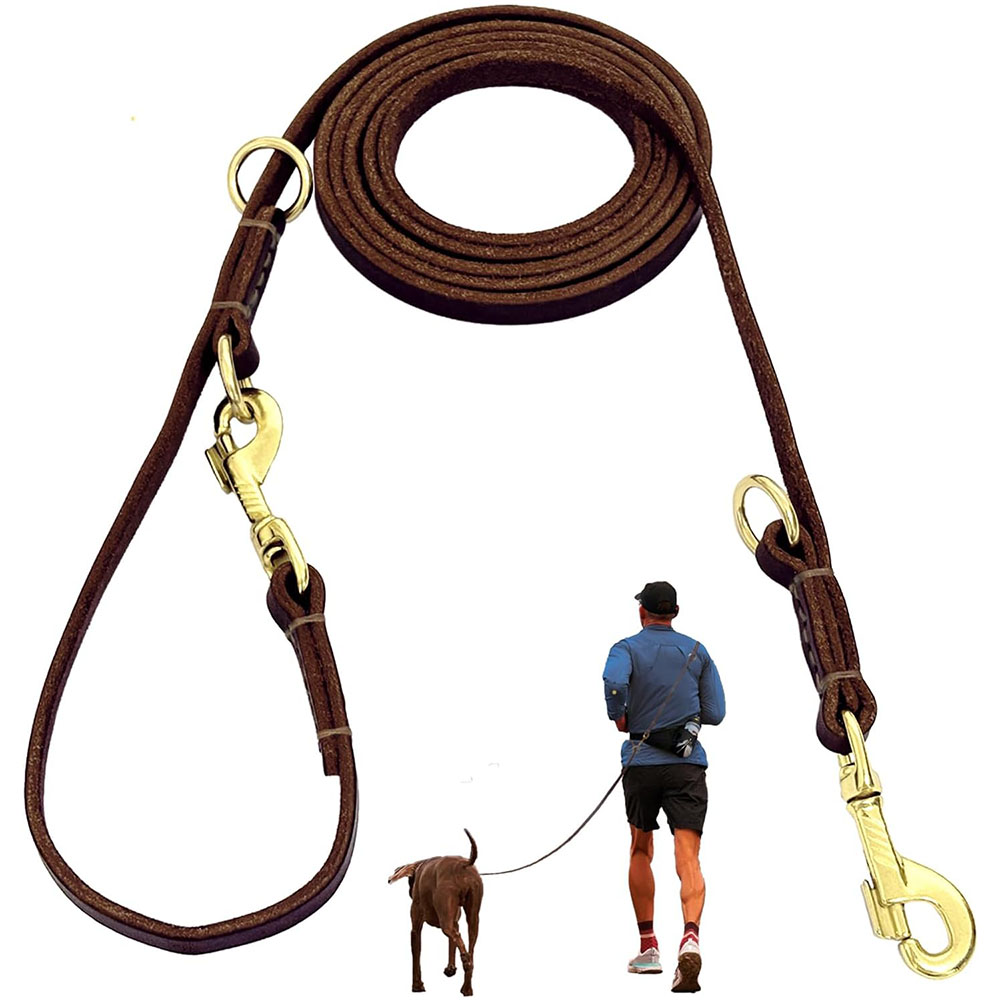 Running Gear Dog - مقود كلاب متعدد الوظائف من الجلد
