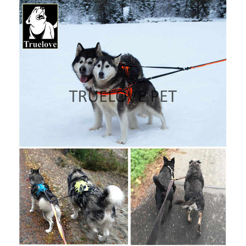 Truelove النايلون مزدوج الكلب  - مراجعة Running Gear Dog وسعره