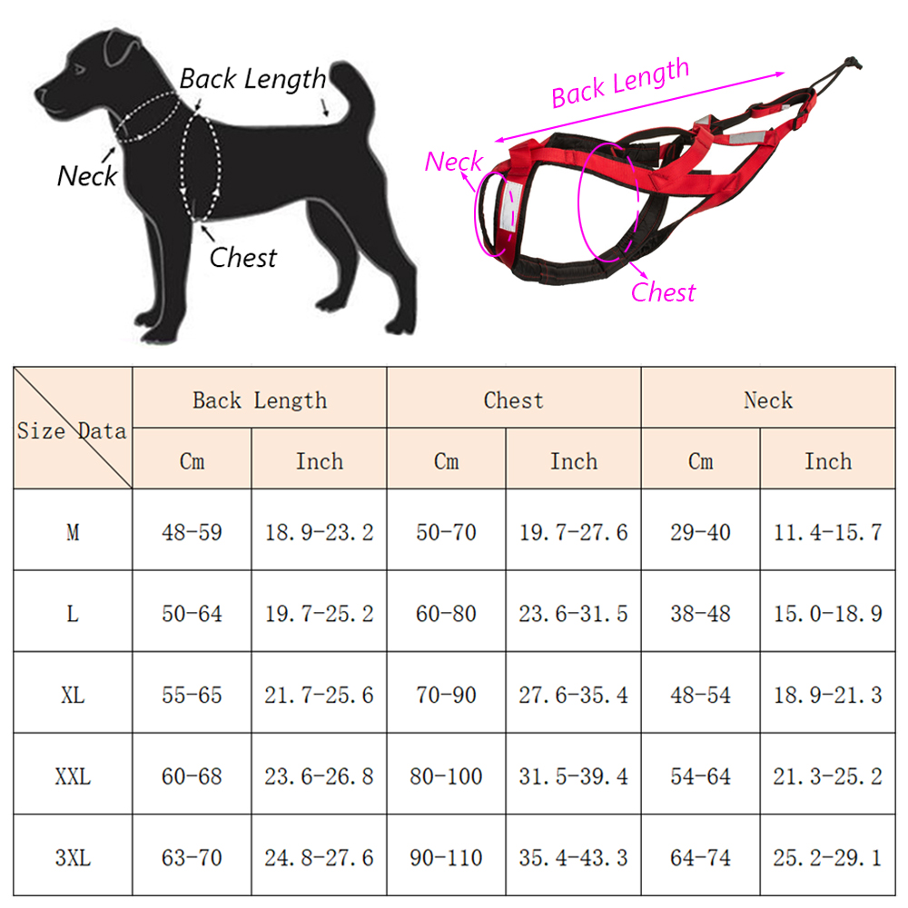 حزام تزلج عالي الجودة للكلاب ا - مراجعة Running Gear Dog وسعره