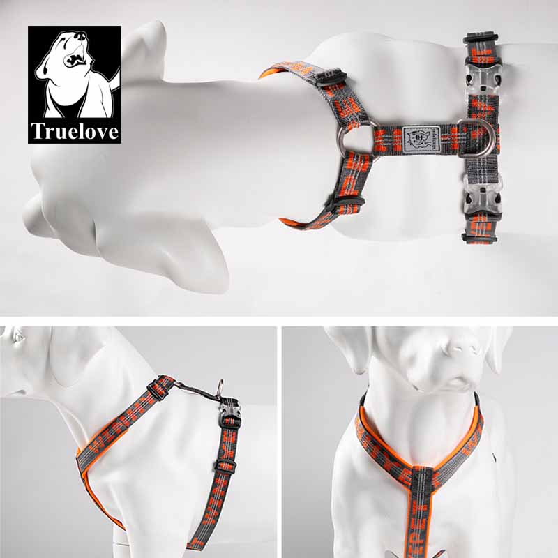 TRUELOVE الحيوانات الأليفة تسخ - مراجعة Running Gear Dog وسعره