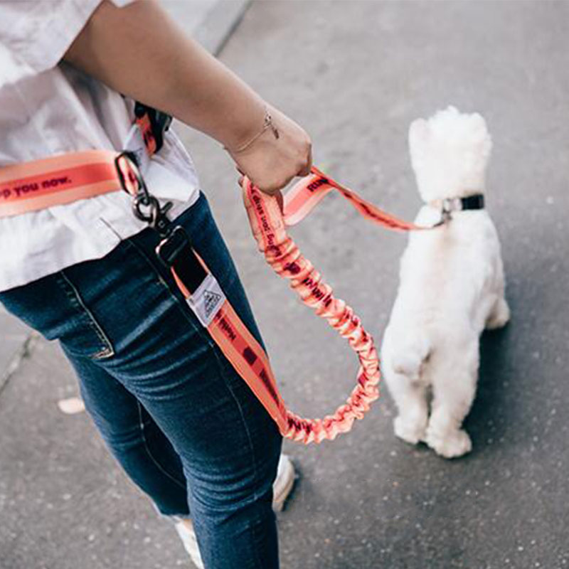 قابل للتعديل اليد الحرة الكلب  - مراجعة Running Gear Dog وسعره