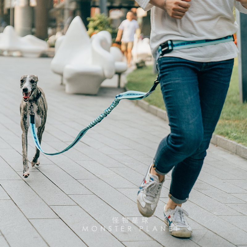 قابل للتعديل اليد الحرة الكلب  - مراجعة Running Gear Dog وسعره