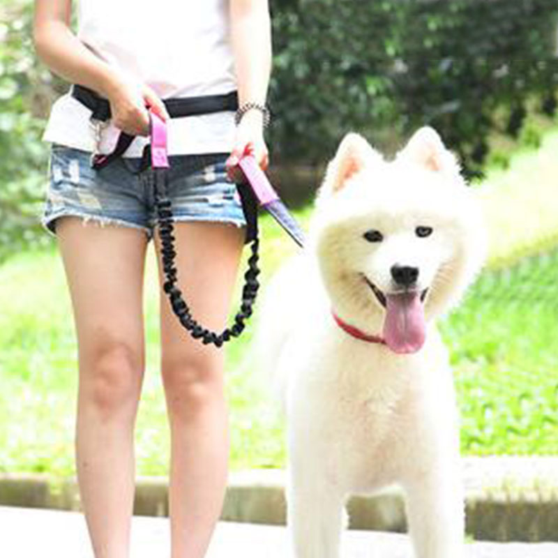 قابل للتعديل اليد الحرة الكلب  - مراجعة Running Gear Dog وسعره
