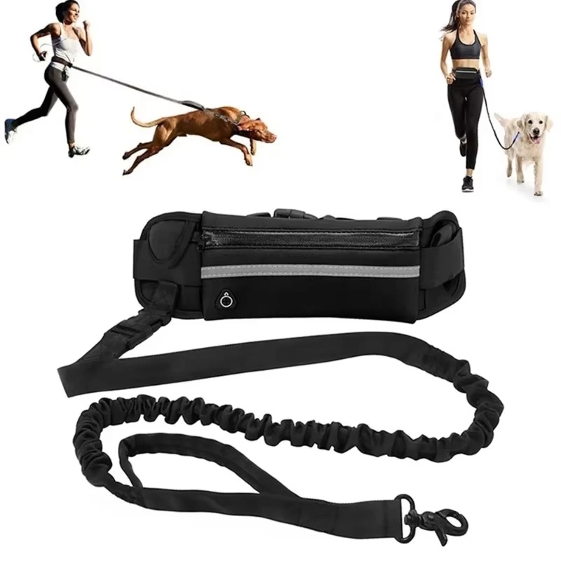 حزام كلب عاكس للضوء بدون استخد - مراجعة Running Gear Dog وسعره