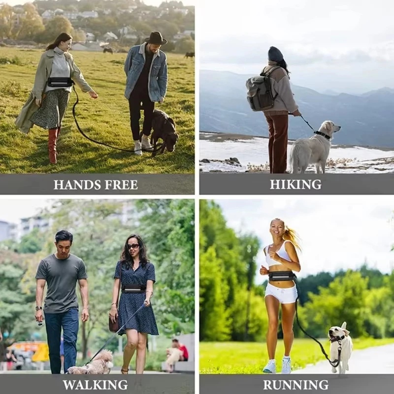حزام كلب عاكس للضوء بدون استخد - مراجعة Running Gear Dog وسعره