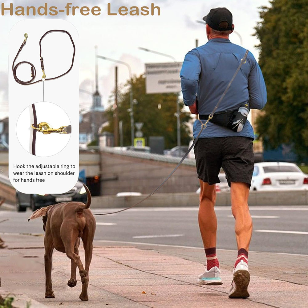 مقود كلاب متعدد الوظائف من الج - مراجعة Running Gear Dog وسعره