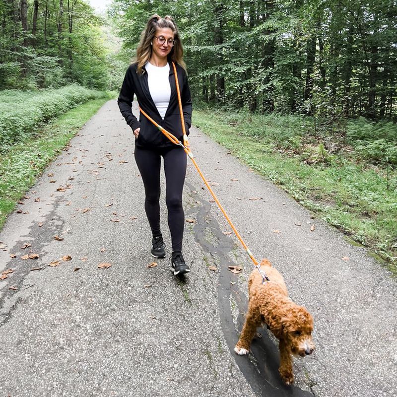 مقود عاكس للكلاب بدون استخدام  - مراجعة Running Gear Dog وسعره