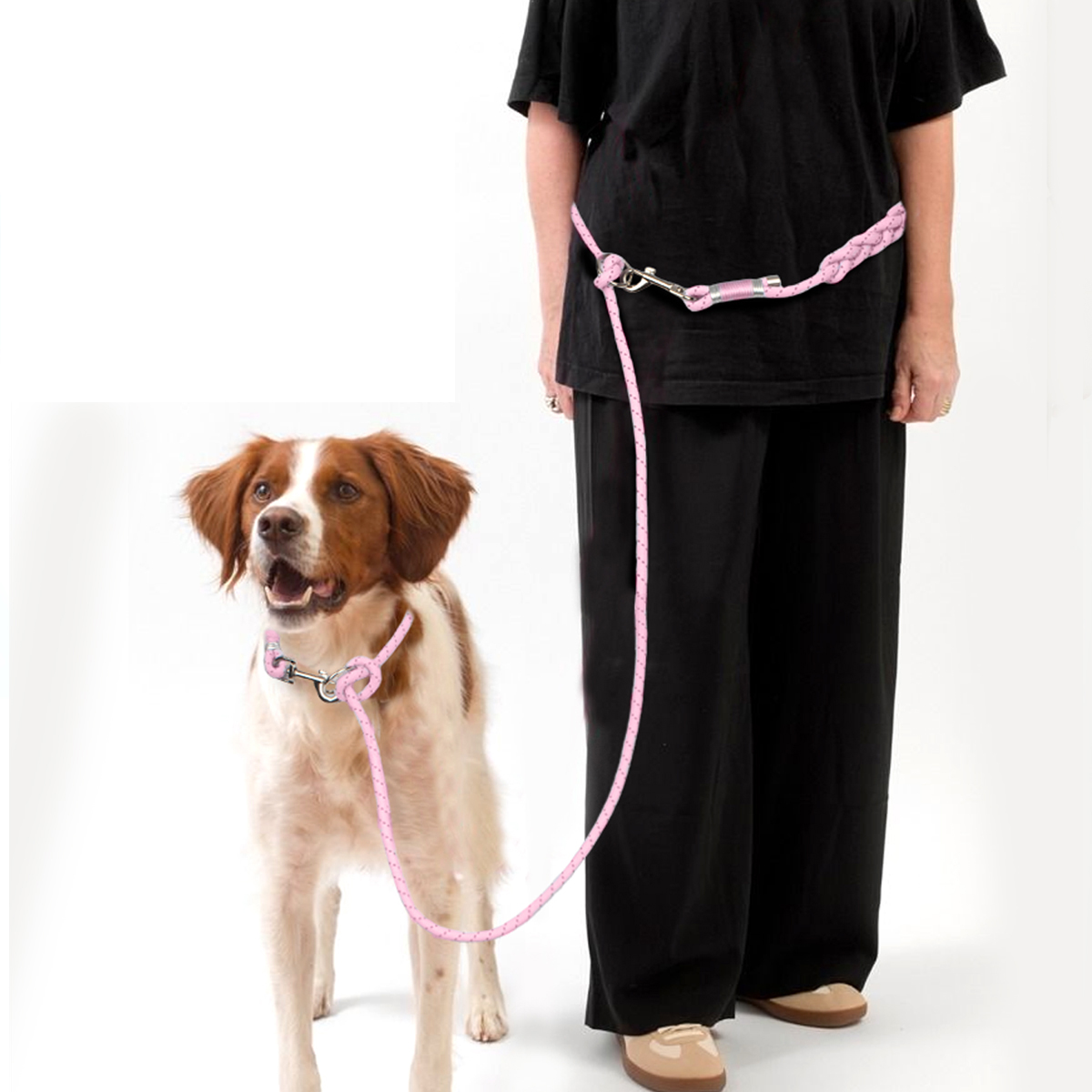 كلب المقاود قابل للتعديل الأيد - مراجعة Running Gear Dog وسعره